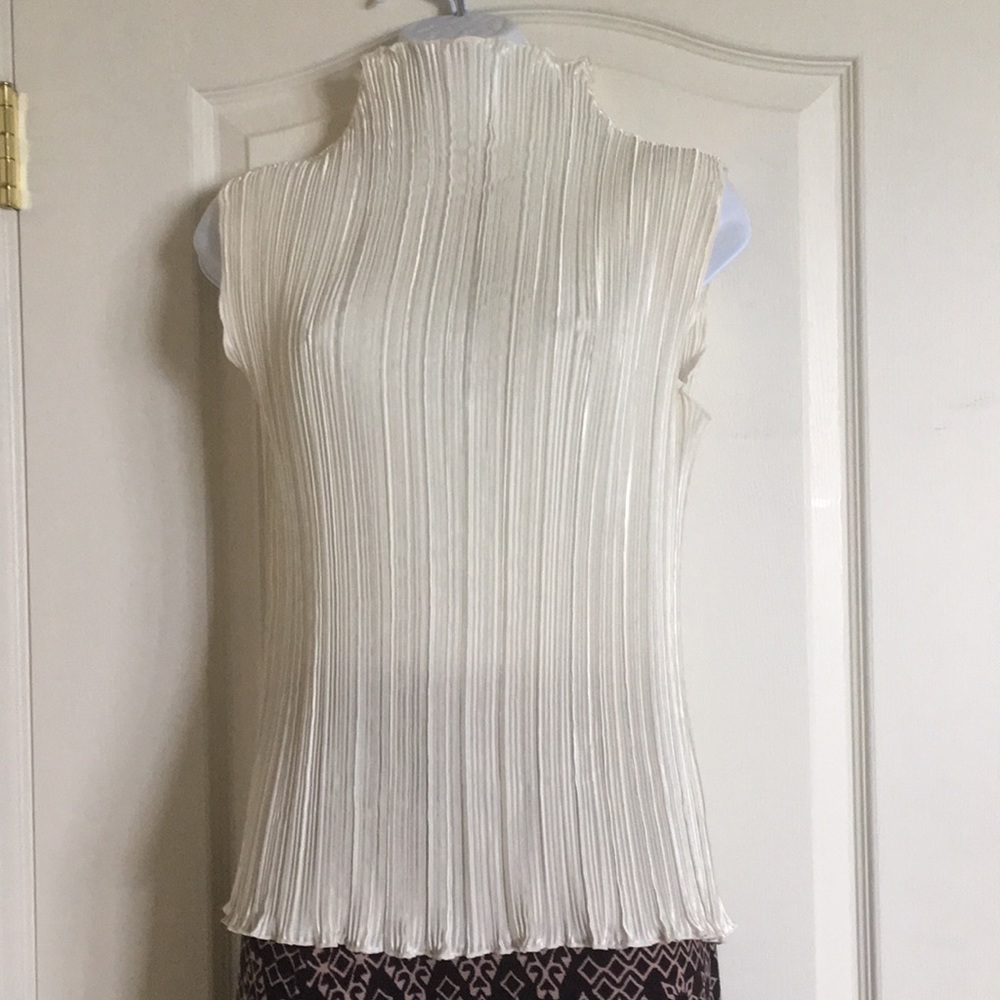 Vintage accordion pleat sheer chiffon blouse